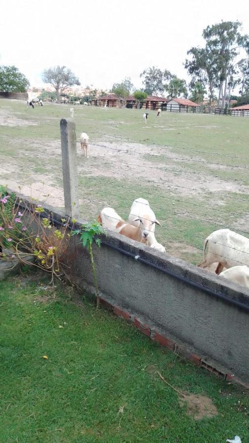 chalé em Gravatá Villa Esterno foto